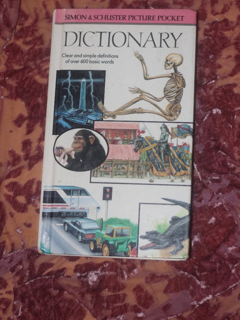 Simon & Schuster Picture Pocket Dictionary published 1991